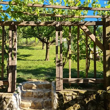 Tatil Evi Zidanica Zagar