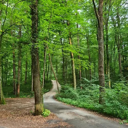 Zidanica Zagar Dolenjske Toplice