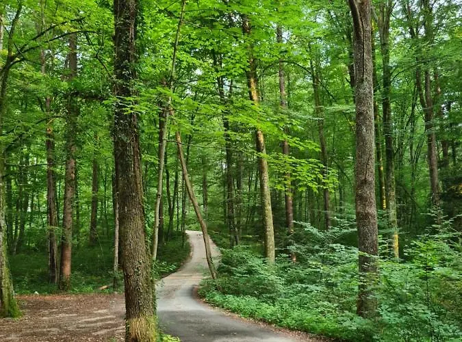 Zidanica Zagar Dolenjske Toplice